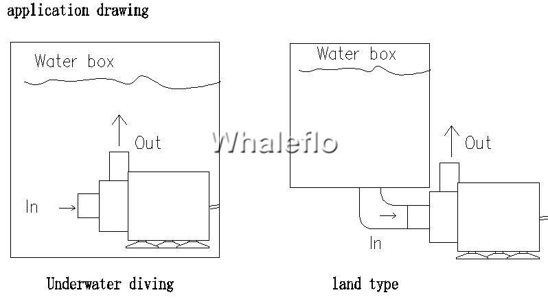 رسم تطبيق Whaleflo DC Micro Pump