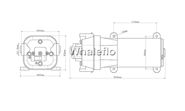 whaleflo diaphragm water pump