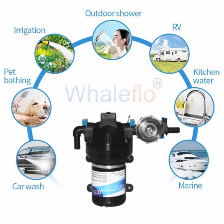 Upgrade Your Water System with Whaleflo 12V 24V 11LPM 50PSI Diaphragm Pump