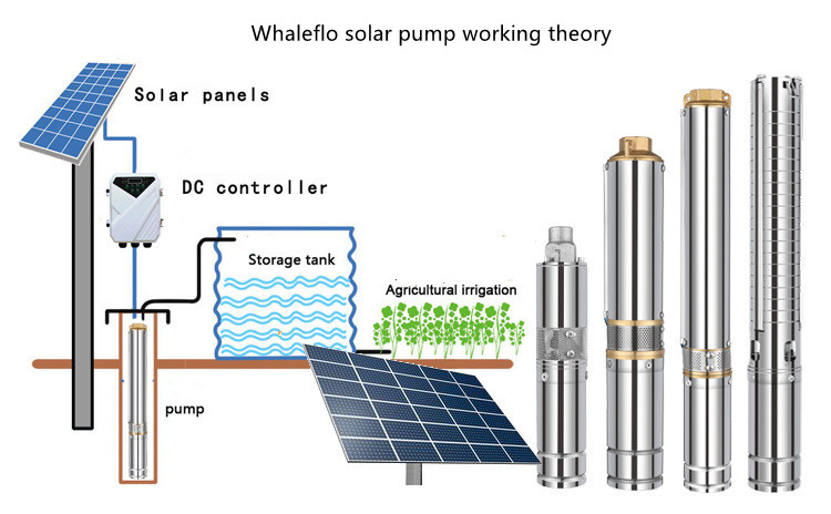 مضخة Whaleflo الشمسية الجديدة مع وحدة تحكم MPPT
